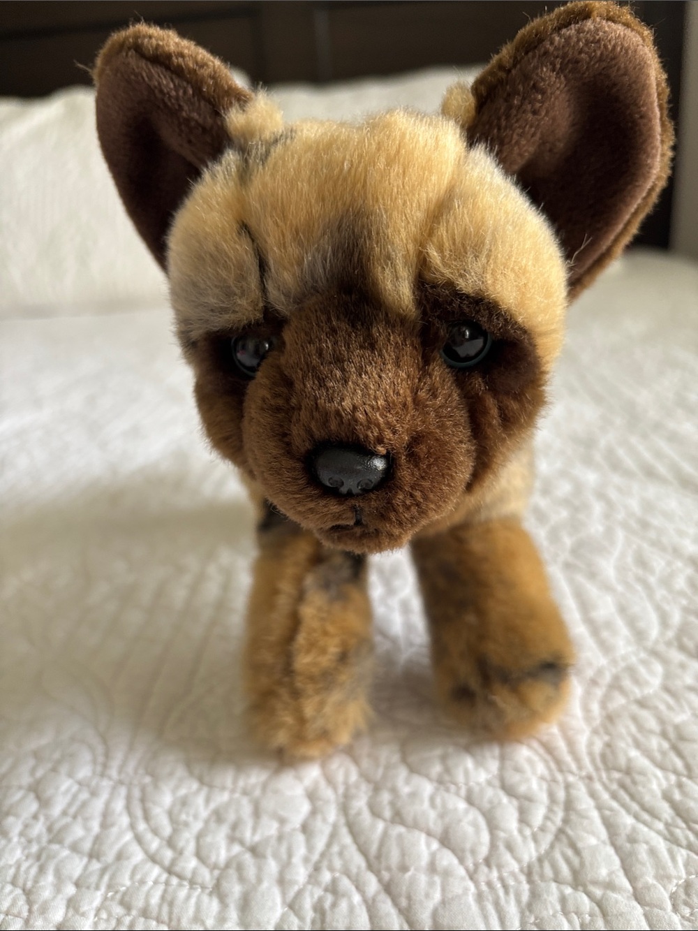 Rare SOS Save Our Space Realistic African Wild Dog Plush Brown & Black Vintage